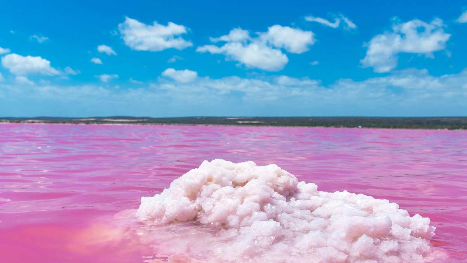 西澳 (Western Australia) 的粉紅湖 (Hutt Lagoon)